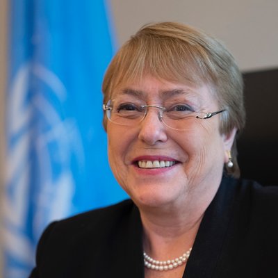 UN human rights chief speaks about farmers protest
