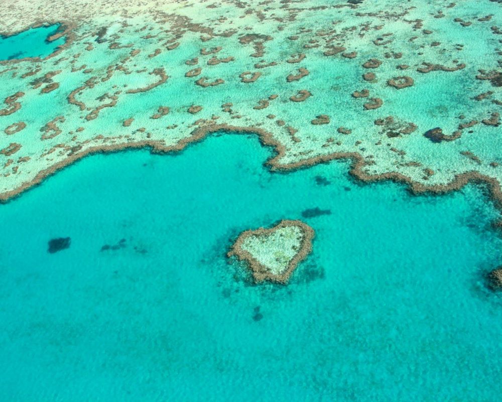 Tourism-Australia.jpg