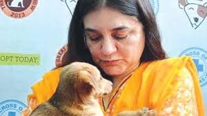 Maneka-Gandhi.jpg