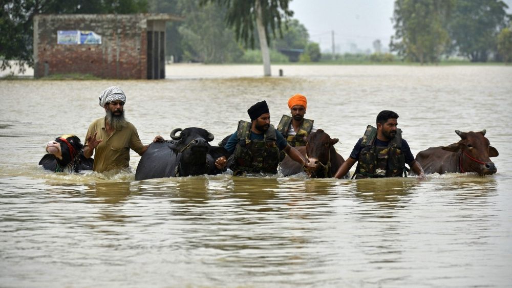 Punjab-Floods-upl.jpg