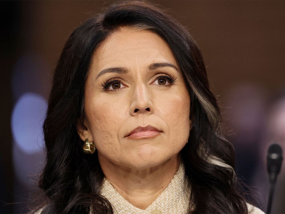 ANI-Tulsi-Gabbard-upl.jpg