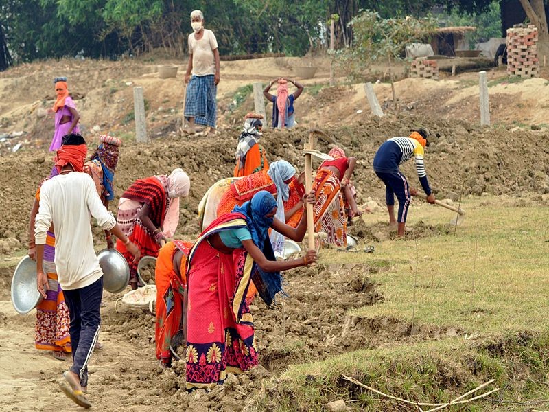 Farm-Labour.jpg
