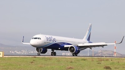 Indigo.jpg