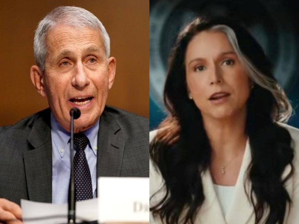 Gabbard alleges Fauci funded Wuhan research that sparked COVID-19