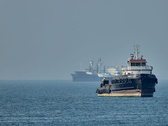 Fertiliser Stocks Rise as India-Bound Ships Resume Movement Through Hormuz