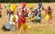 ANI-Baisakhi-upl.jpg