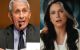 ANI-Gabbard-and-Fauci-upl.jpg