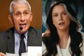 ANI-Gabbard-and-Fauci-upl.jpg