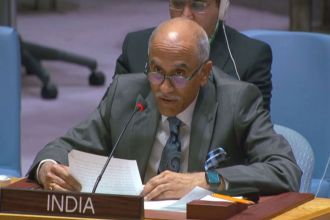 ANI-Harish-UNSC-upl.jpg