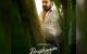 Drishyam-3-Mohanlal-upl.jpg